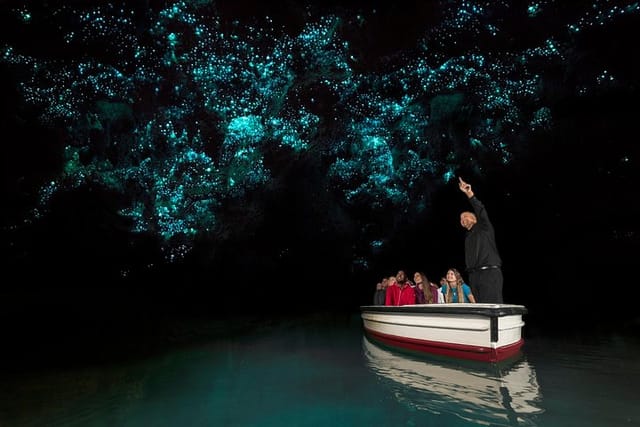 Waitomo Glowworm Caves